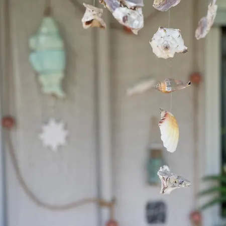 Il Nido Di Jonathan Livingstone *