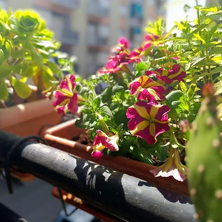 Appartamento Il Nido Di Jonathan Livingstone