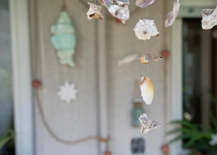 Il Nido Di Jonathan Livingstone *