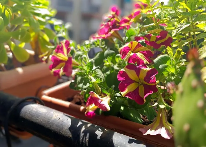 Appartement Il Nido Di Jonathan Livingstone